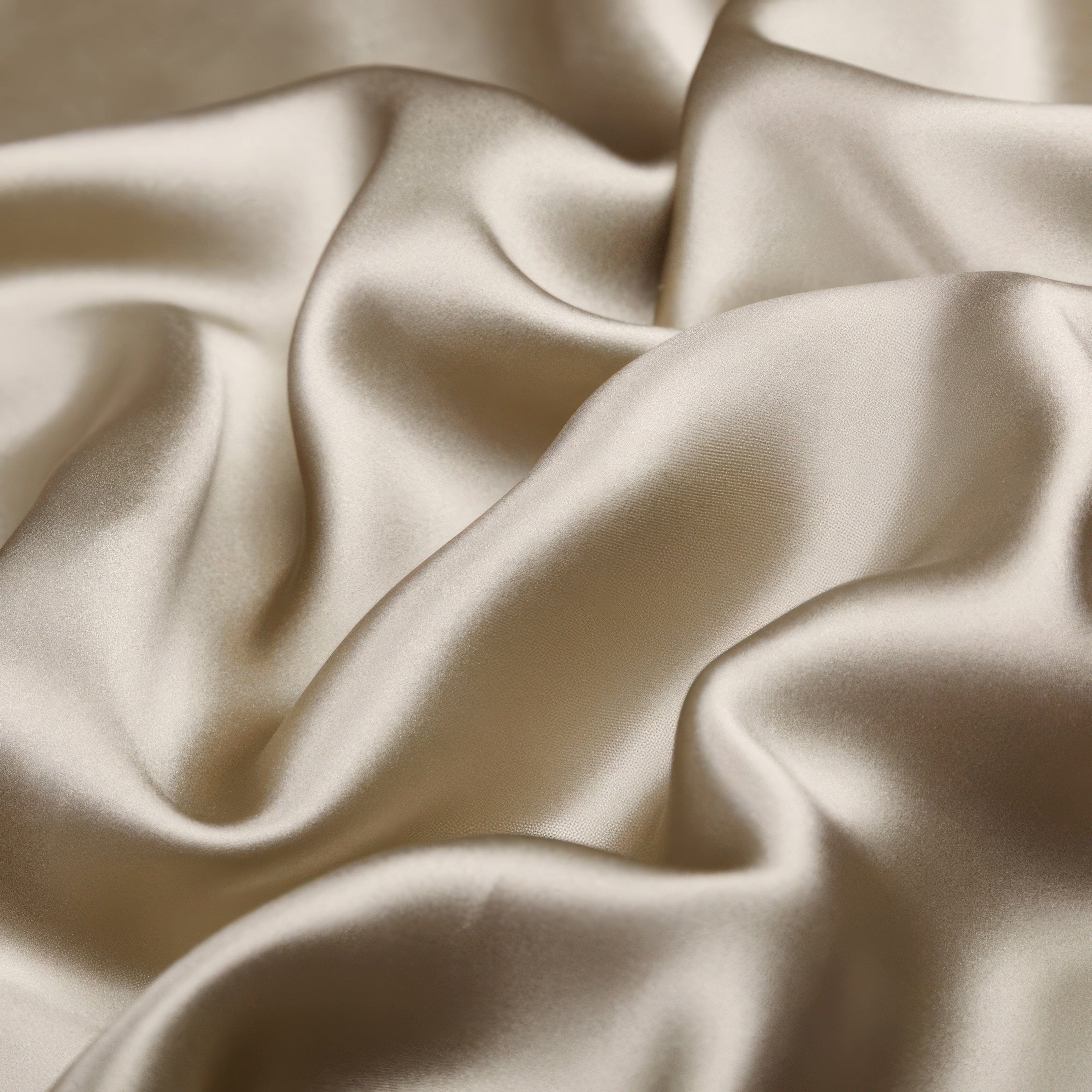 Belle - Silk Pillowcase